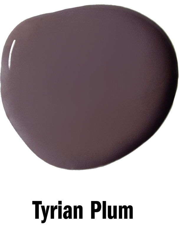 Tyrian Plum Annie Sloan Wall Paint krāsa