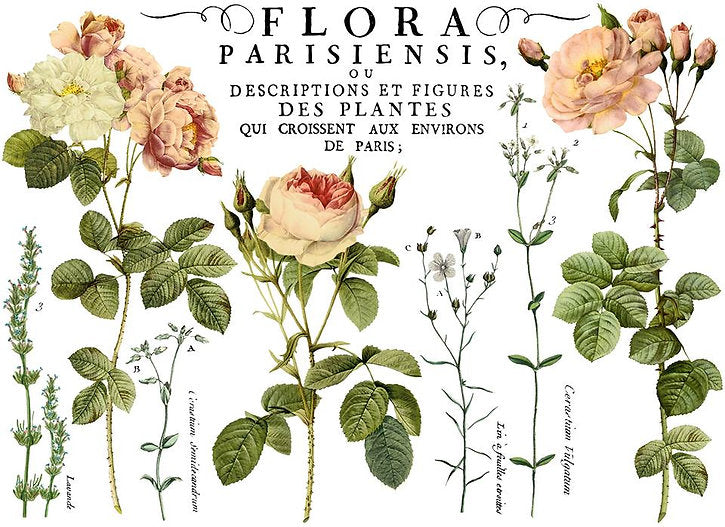 Transfer "Flora Parisiensis"