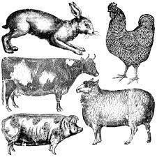 Штамп "FARM ANIMALS"