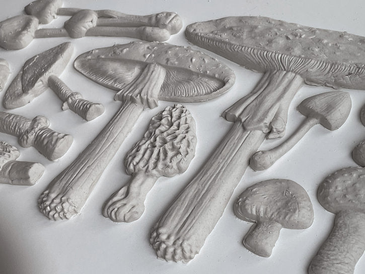 Silikona forma TOADSTOOL