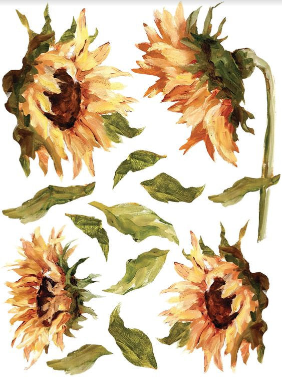 Transfer "Painterly Florals"