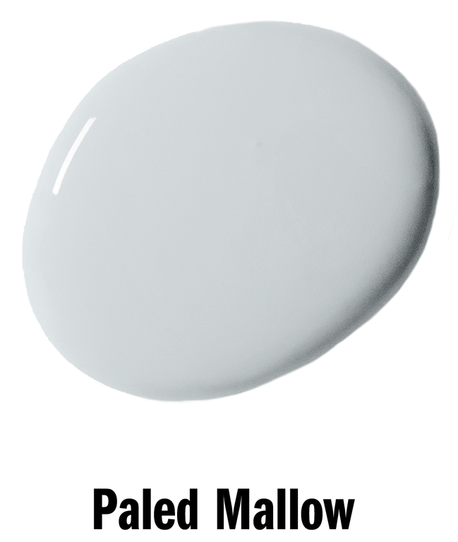 Paled Mallow Annie Sloan Wall Paint krāsa