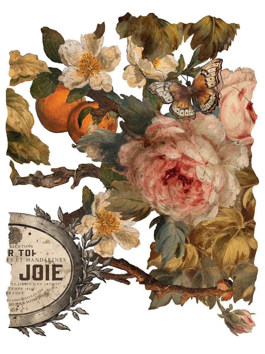 Transfer JOIE DES ROSES