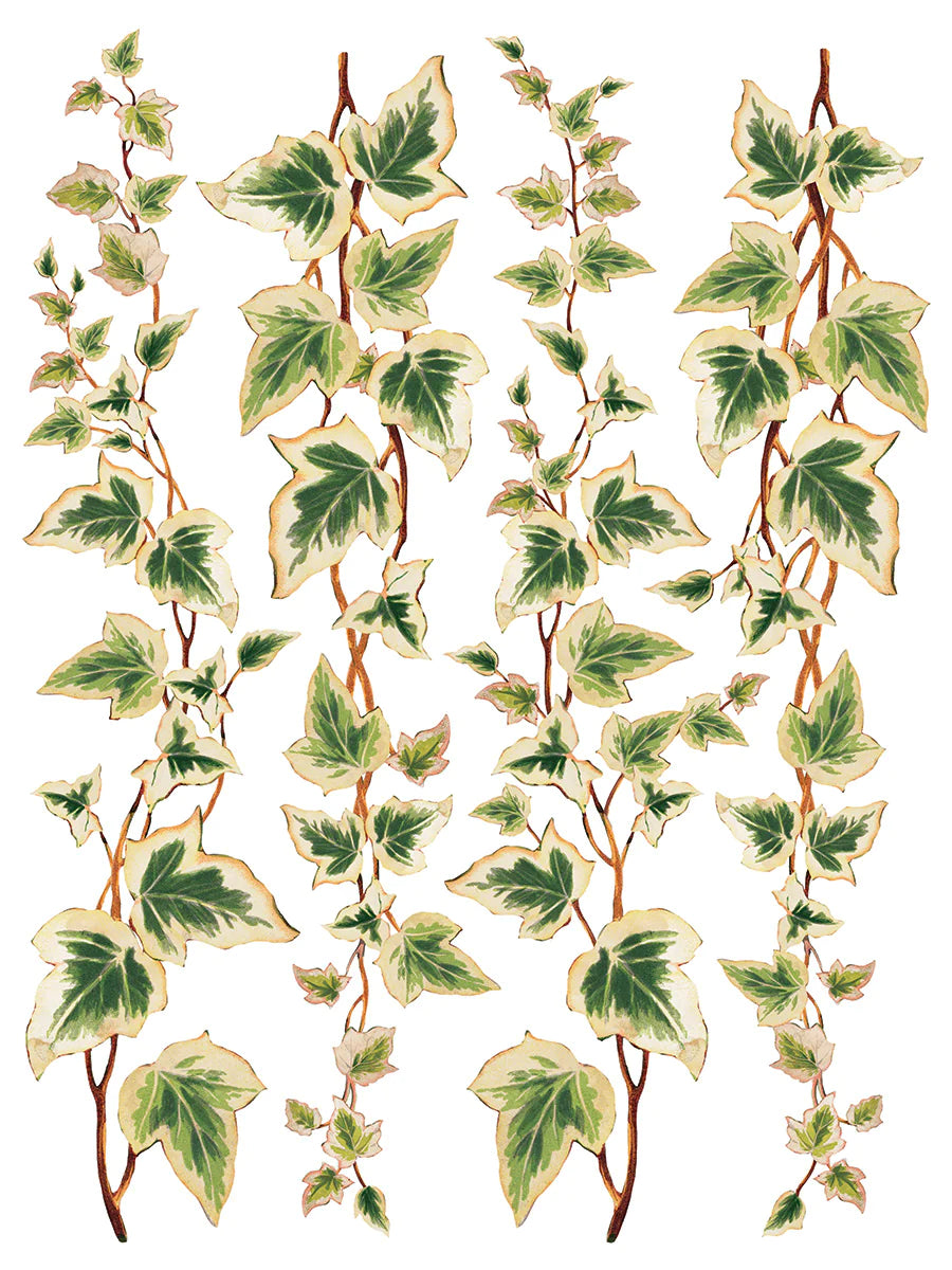 Transfer COLLAGE DE FLEURS IOD