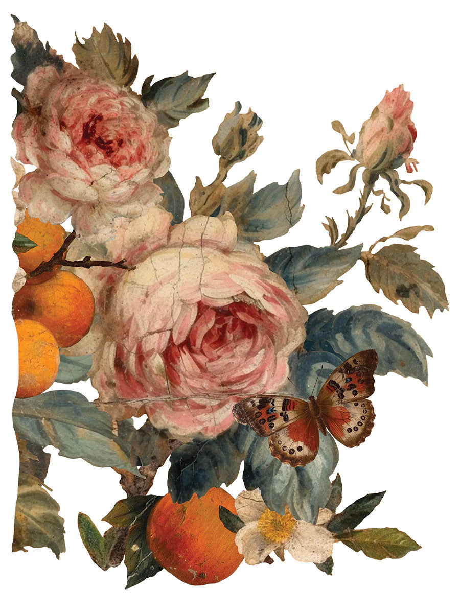 Transfer JOIE DES ROSES