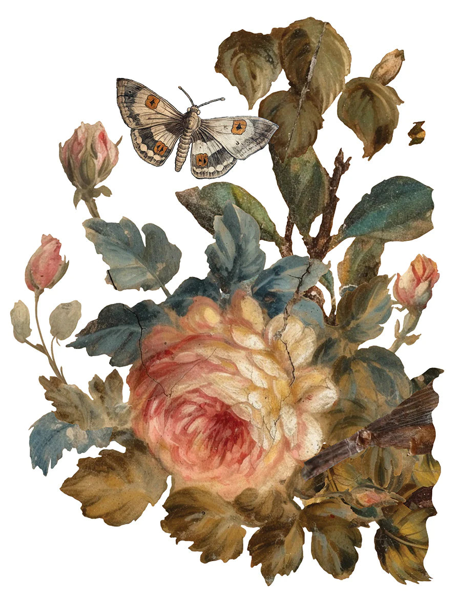 Transfer JOIE DES ROSES