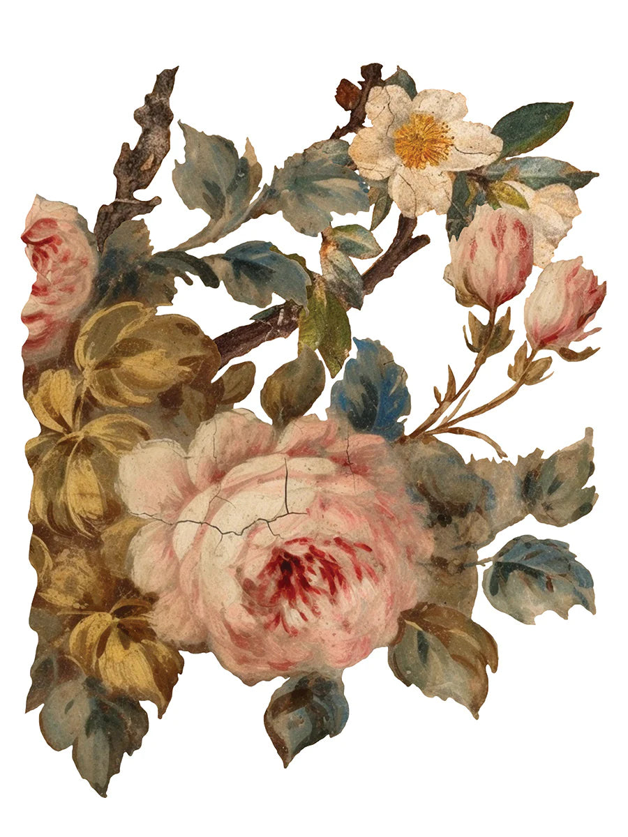 Transfer JOIE DES ROSES