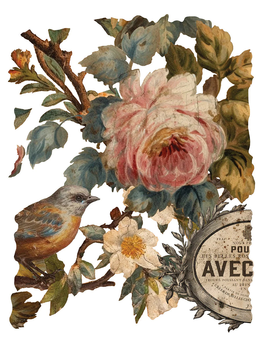 Transfer JOIE DES ROSES