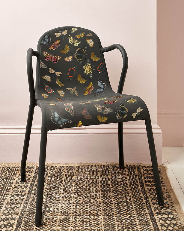 Decoupage paper Annie Sloan WINGED WILDLIFE